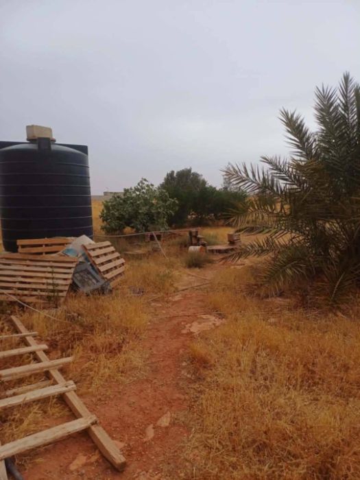 Farm | For Sale | Sidi Khalifa