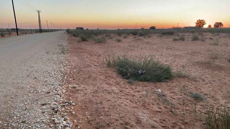 Land | 40,000 sq m | Zatarneh – Tripoli