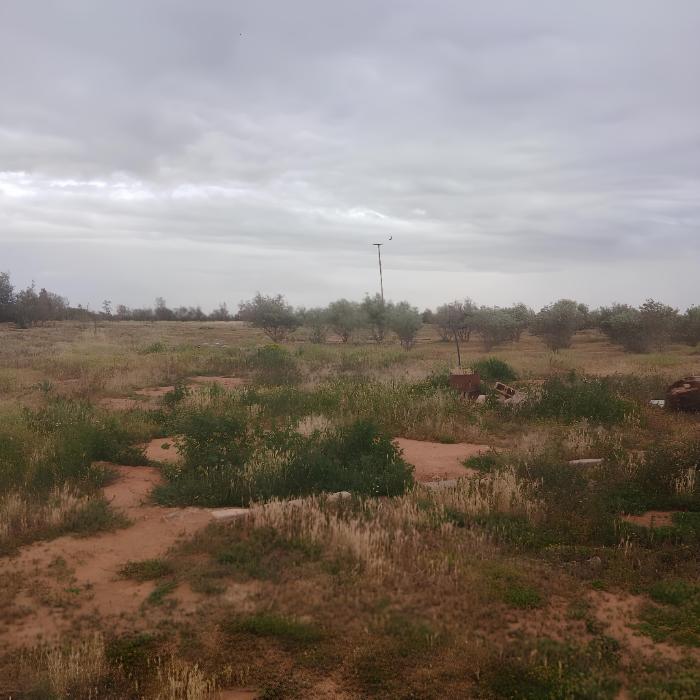 Farm | Clay farming | Jardina
