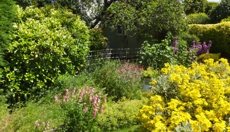 Gardens: A Vital Refuge for Pollinators