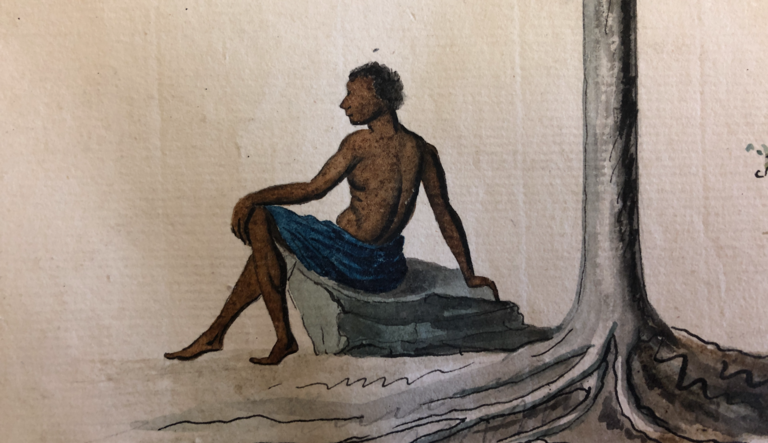 Natural History and Visual Art from the Margins