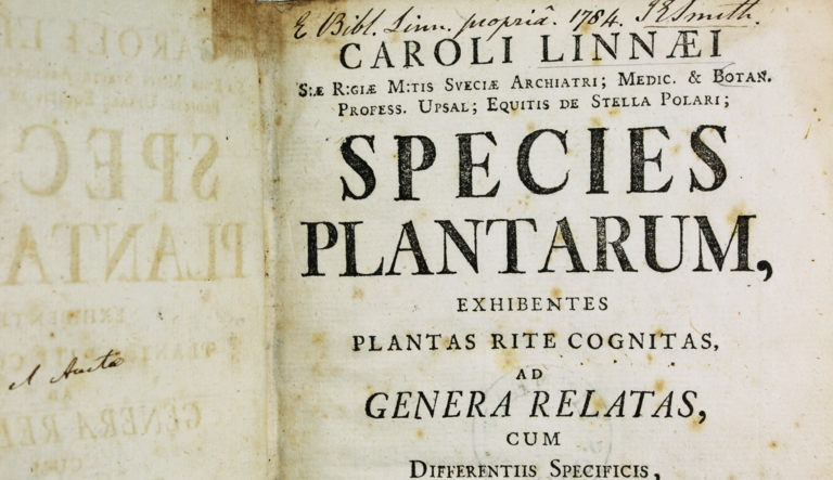 Linnean Lens: Carl Linnaeus' Species Plantarum and Naming Nature