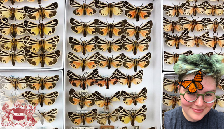 Amateur Lepidopterists and Museums: Past and Present