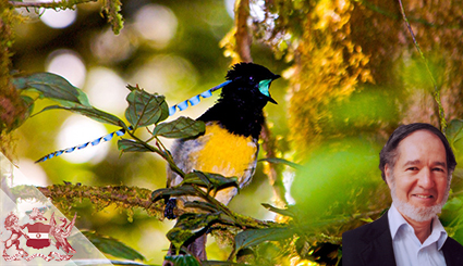 Jared Diamond on the Marvel of New Guinea Birds