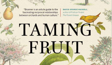 Taming Fruit - From Fruit Forests and Oases to Orchards