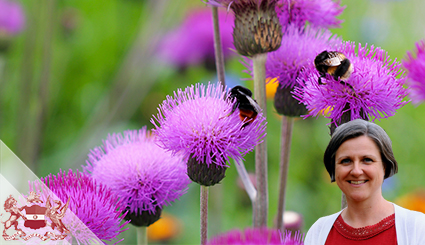 How to Bee-Friendly: The Best Plants for Bees and Other Pollinators