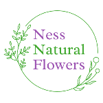 Ness Natural Flowers logo
