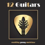 12 Guitars Ltd logo