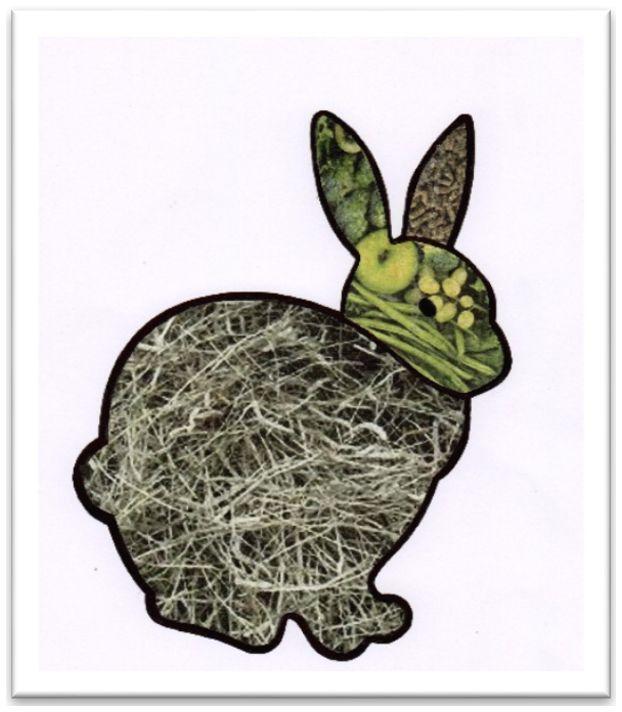 Infectious diseases in rabbits by Catherine Raw - British Veterinary