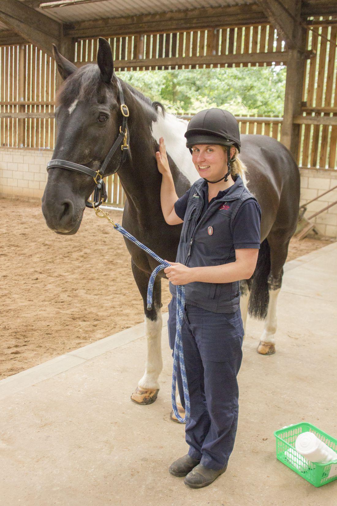 Best practice equine wound care and bandaging by Marie Claire Rippingale British Veterinary