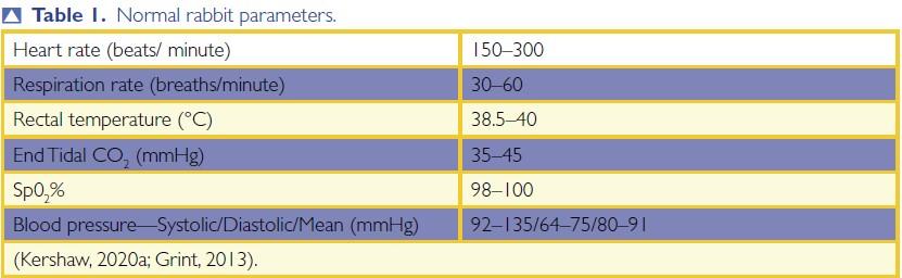 Intestinal obstruction in a rabbit: case study by Emma Foreman ...