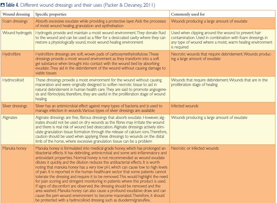 Best practice equine wound care and bandaging by Marie Claire Rippingale British Veterinary