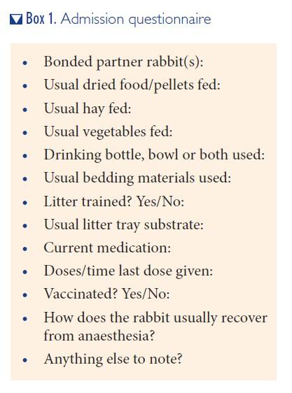 Maintaining standards of welfare in hospitalised rabbits by Laura ...