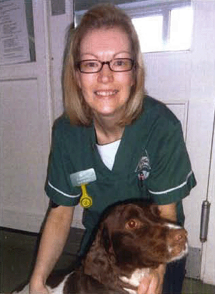 Gold-standard bandaging by Caroline Calder - British Veterinary Nursing AssociationBritish Veterinary Nursing Association Gold-standard bandaging by Caroline Calder - British Veterinary Nursing AssociationBritish Veterinary Nursing Association