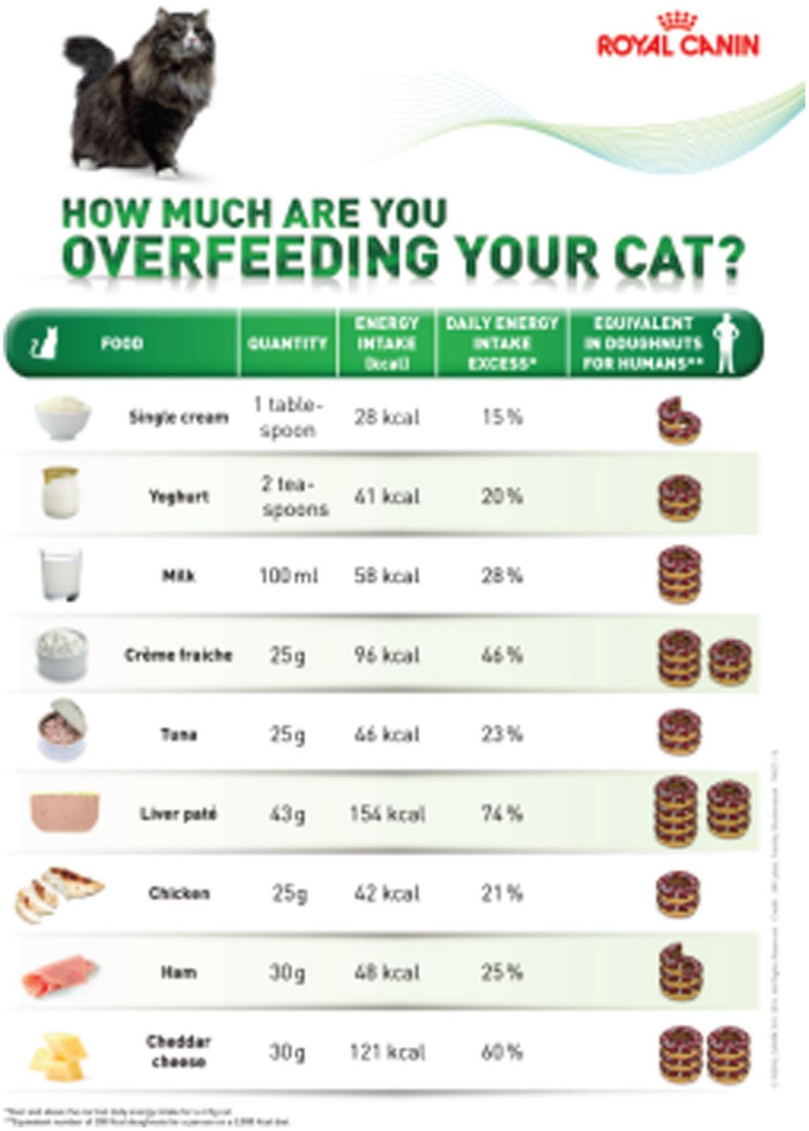 How to encourage management of feline obesity in practice by Louise