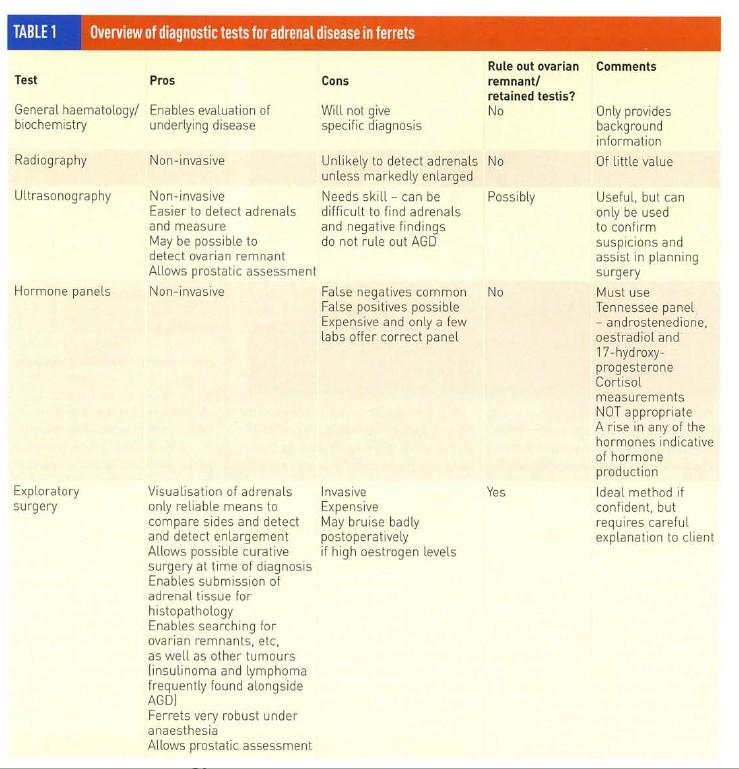 Adrenal gland disease in ferrets by John Chitty British Veterinary