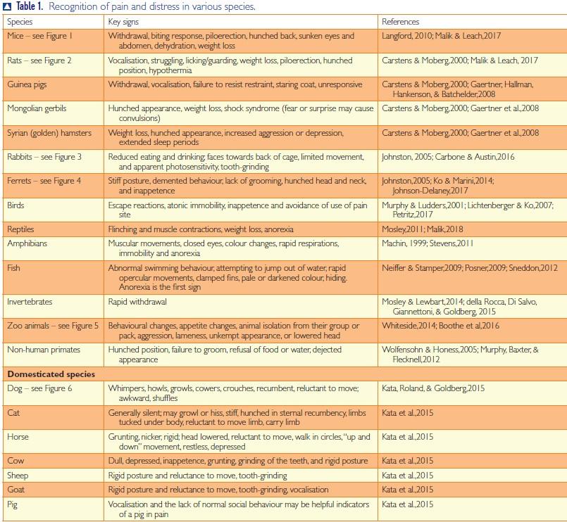 A walk on the wild side: a review of physiotherapy for exotics and zoo ...