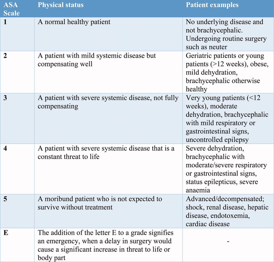 Nursing Considerations For Anaesthesia Of The Obese Patient By Jennifer