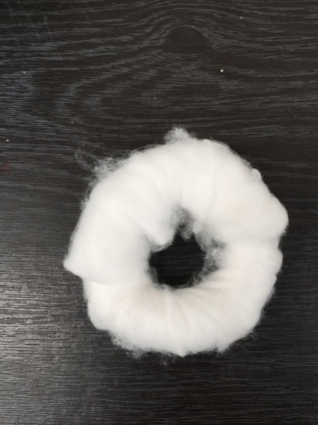 Best practice equine wound care and bandaging by Marie Claire Rippingale British Veterinary