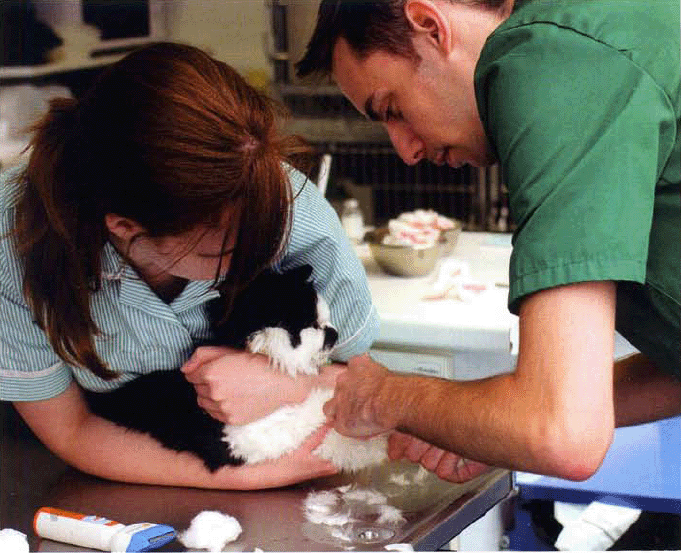 The route to success pathway qualifications for a career in