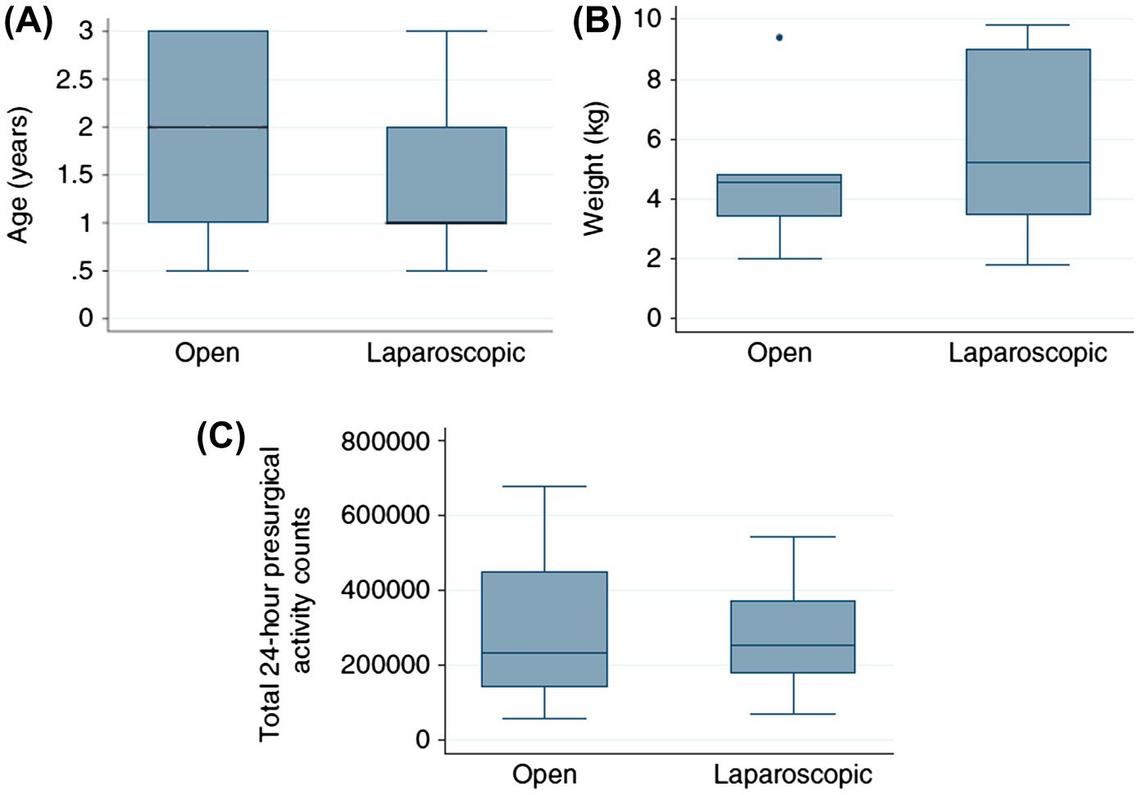 Laparoscopic or traditional bitch spay? A comparison of surgical