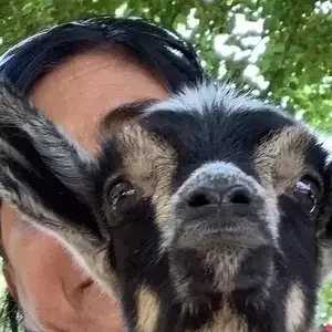avatar thumb
