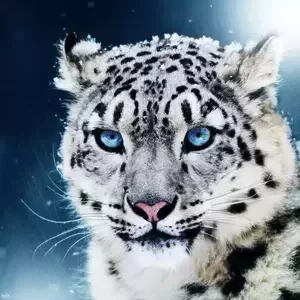 avatar thumb