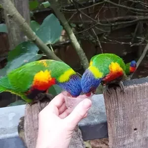 avatar thumb