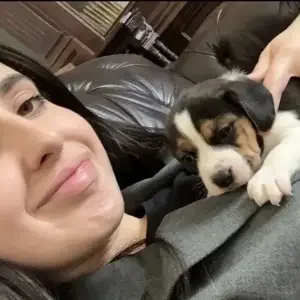 avatar thumb