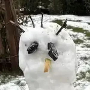 avatar thumb