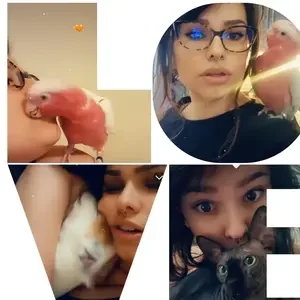 avatar thumb