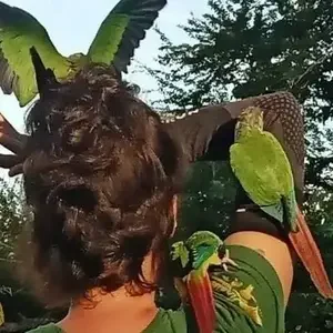 avatar thumb