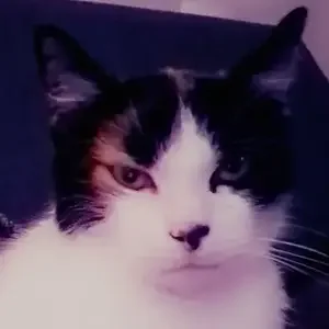 avatar thumb