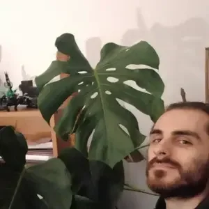 avatar thumb